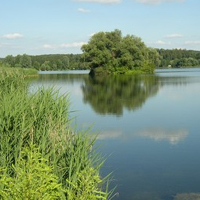 Oberrieder Weiher