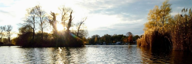 Manfred Kober – Oberrieder Weiher Insel